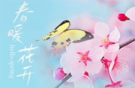 精准普法进校园，防范霸凌护成长——江苏新星教育集团焦作市明天高级中学法治宣传教育课
