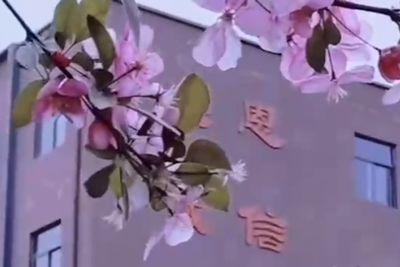 明天中学的早晨